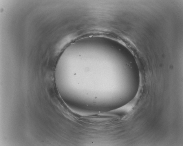 X0000065251355200602242039