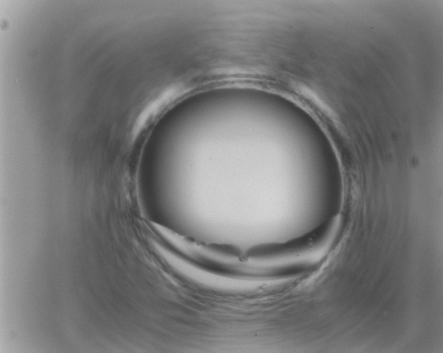 X0000065251357200602242039