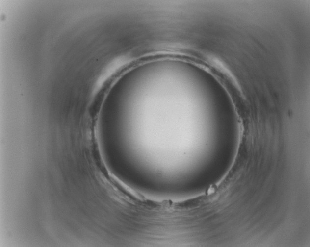 X0000065251360200602242039