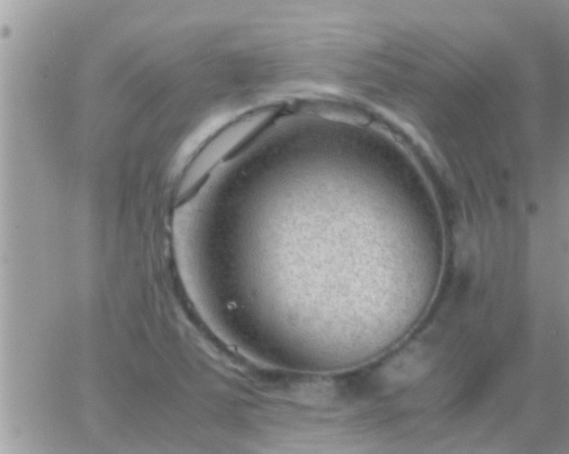 X0000065251363200602242039