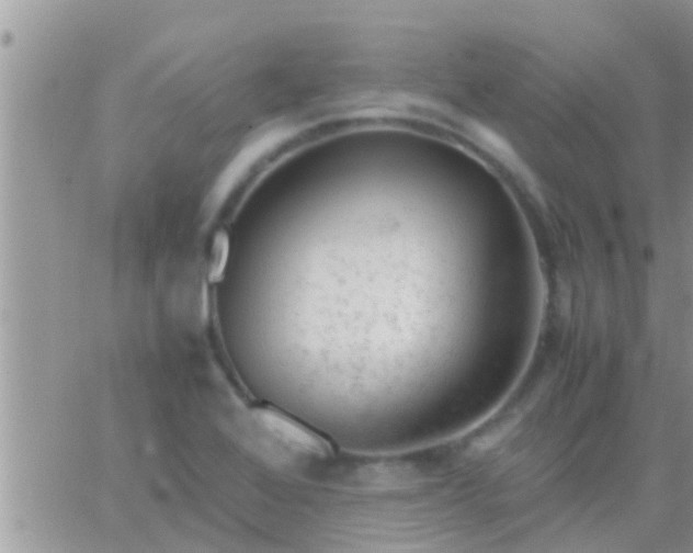 X0000065251368200602242039