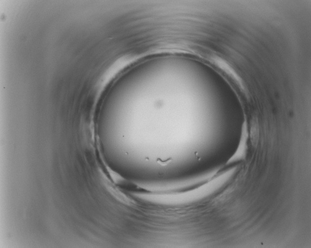 X0000065251372200602242039