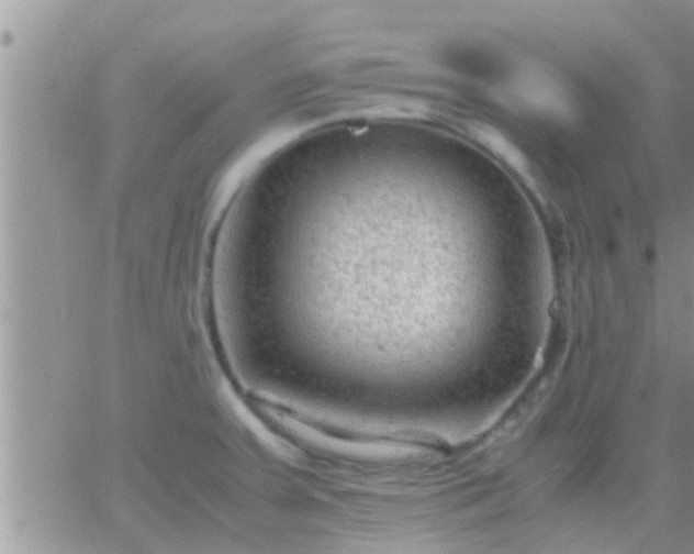 X0000065251379200602242039