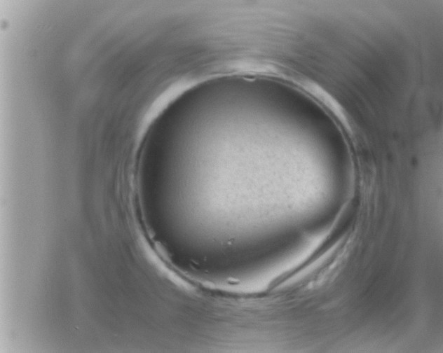 X0000065251381200602242039