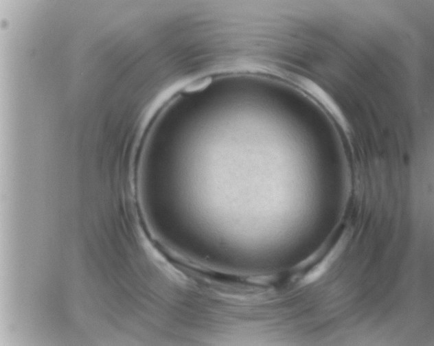 X0000065251388200602242039