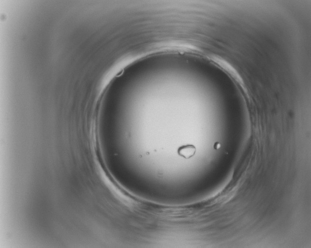 X0000065251391200602242039