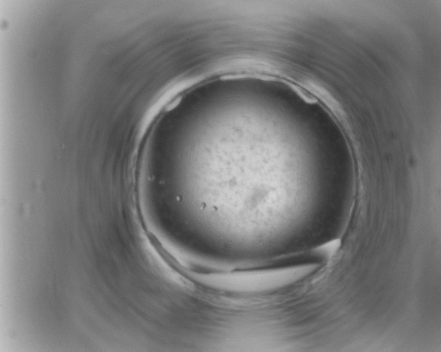 X0000065251392200602242039