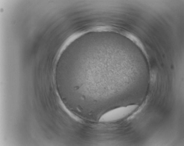 X0000065251429200602242038