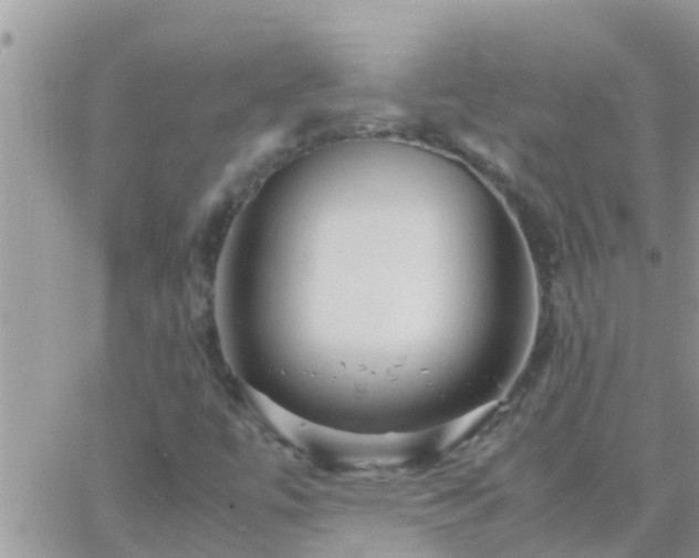 X0000065251447200602242038