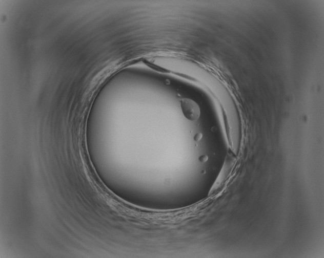 X0000065250001200603031815