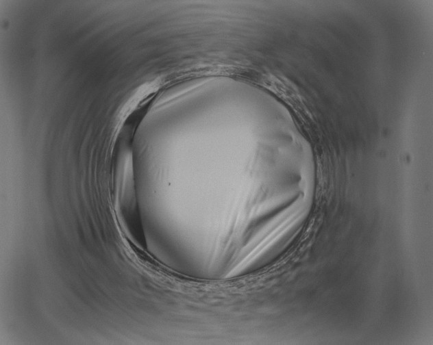 X0000065250003200603031815