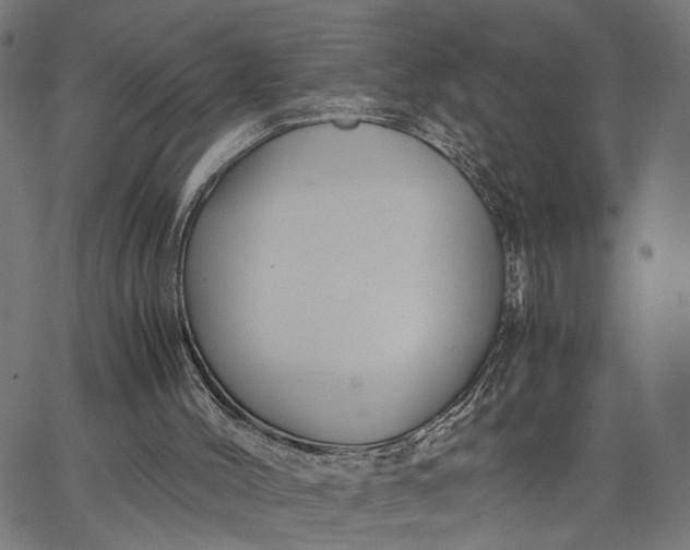 X0000065250004200603031815