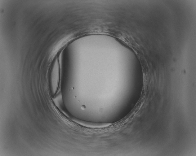 X0000065250005200603031815