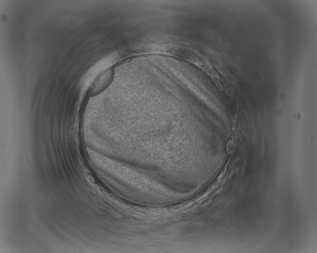 X0000065250006200603031815