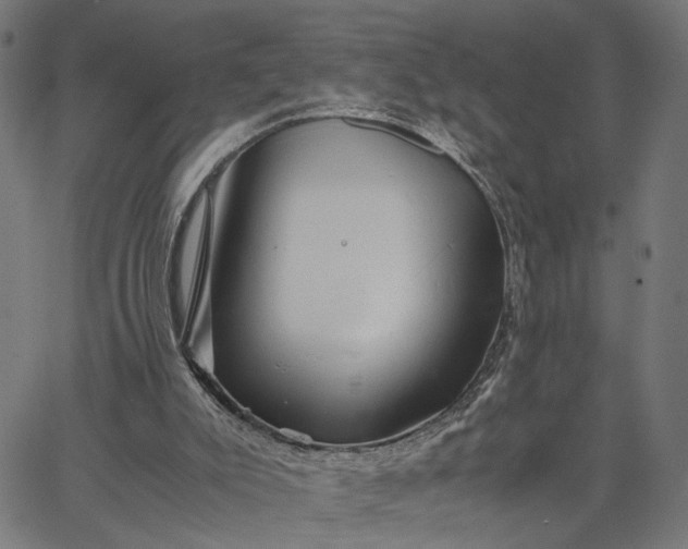 X0000065250007200603031815