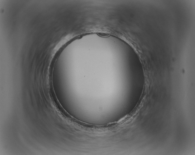 X0000065250008200603031815