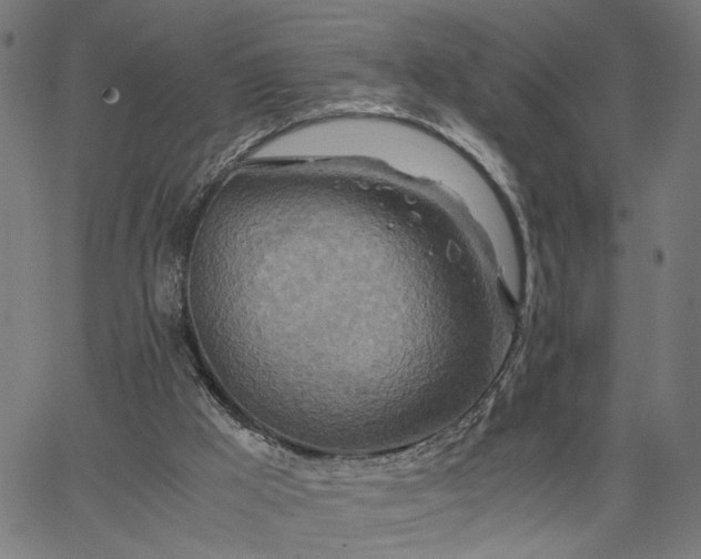 X0000065250009200603031815