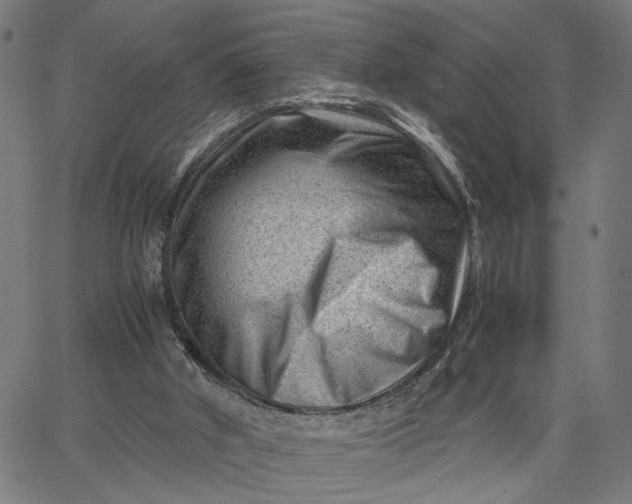 X0000065250010200603031815