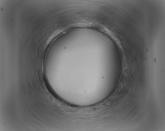 X0000065250011200603031815