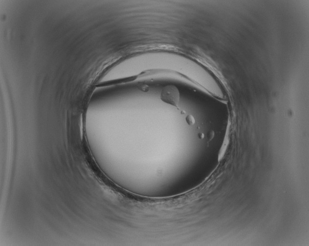 X0000065250013200603031815