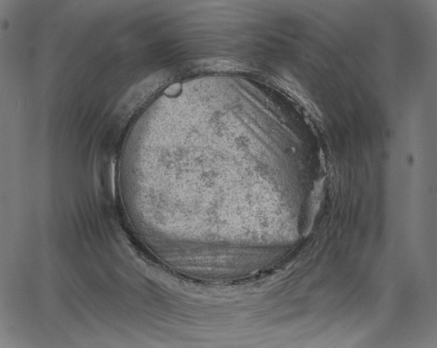 X0000065250014200603031815