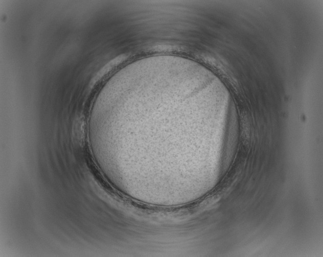 X0000065250016200603031815