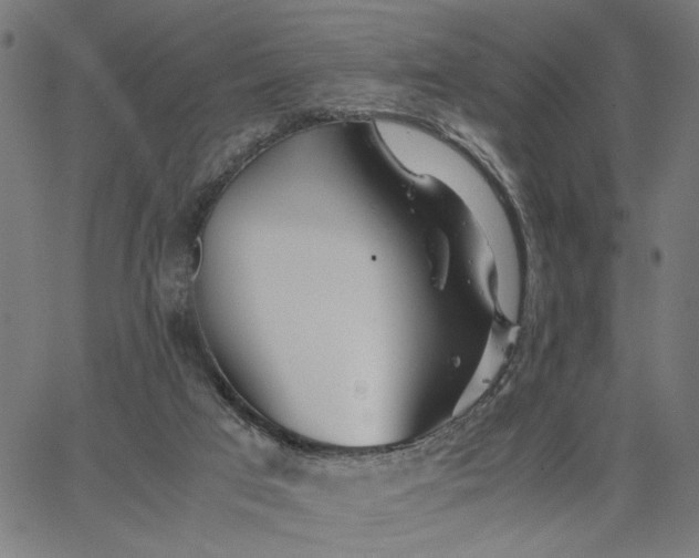 X0000065250017200603031815