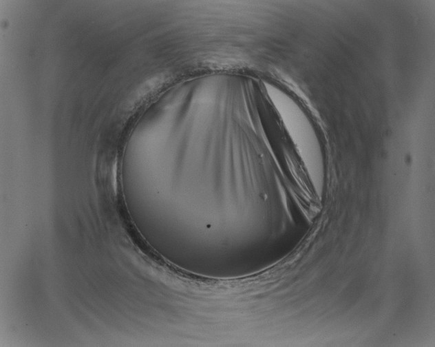 X0000065250019200603031815