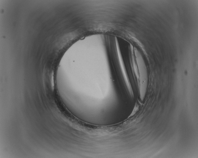 X0000065250020200603031815