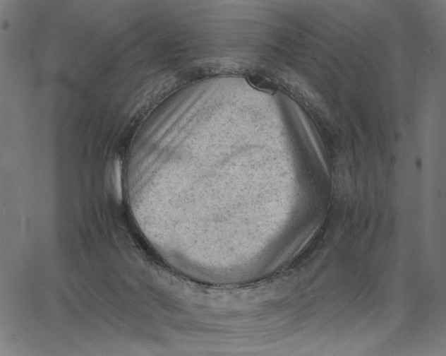 X0000065250022200603031815