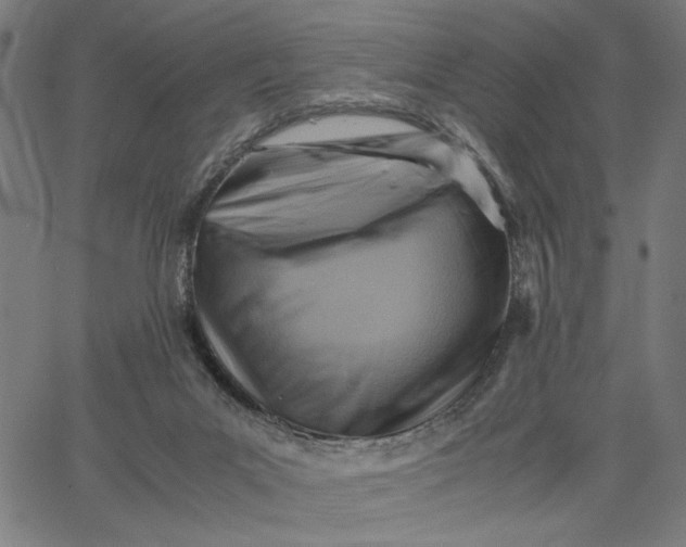 X0000065250023200603031815