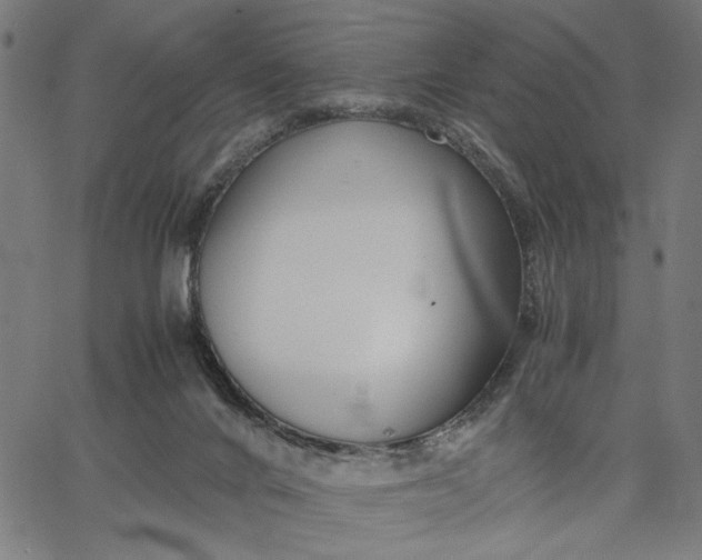 X0000065250024200603031815