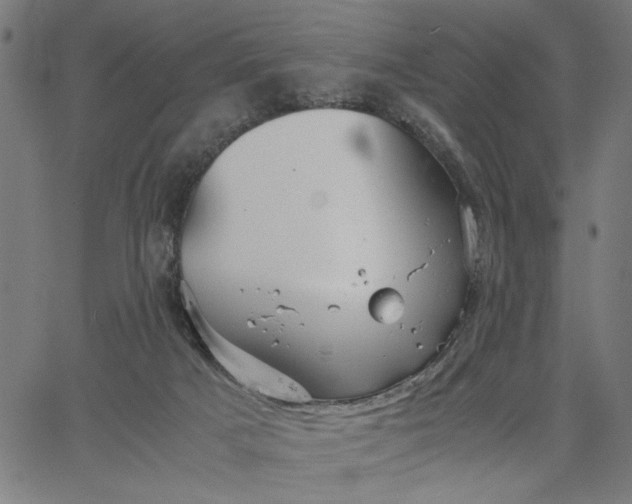 X0000065250025200603031815