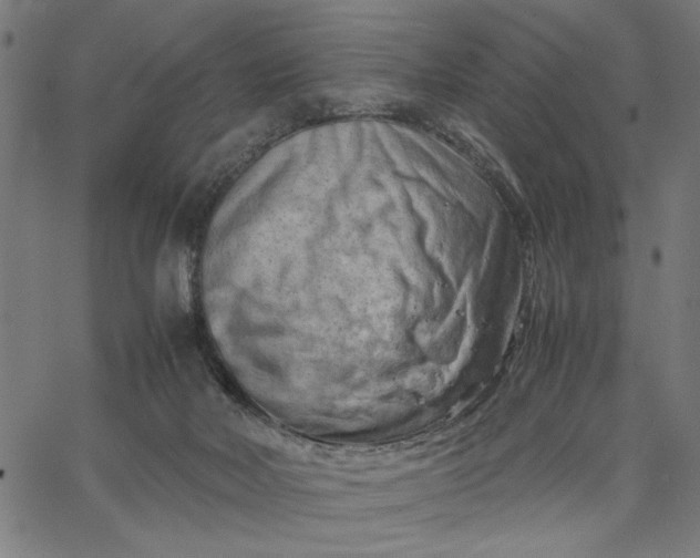 X0000065250026200603031815