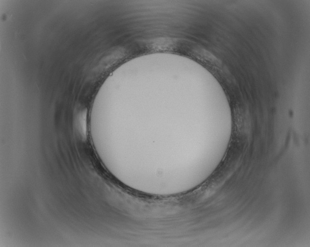 X0000065250028200603031815