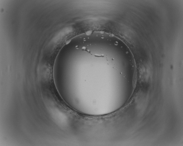 X0000065250029200603031815