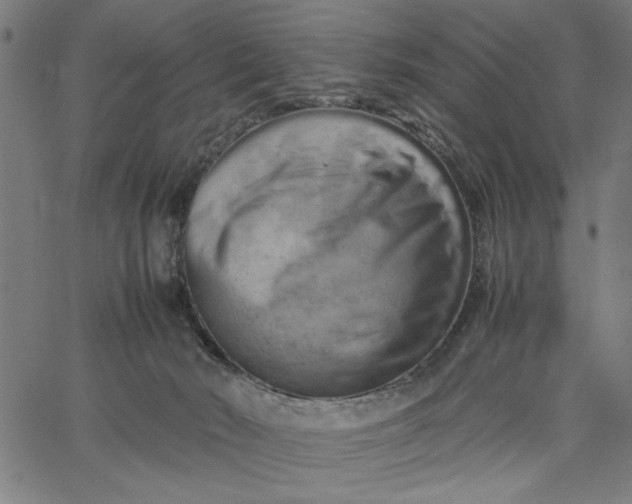 X0000065250030200603031815