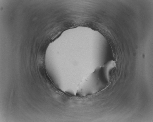 X0000065250033200603031814