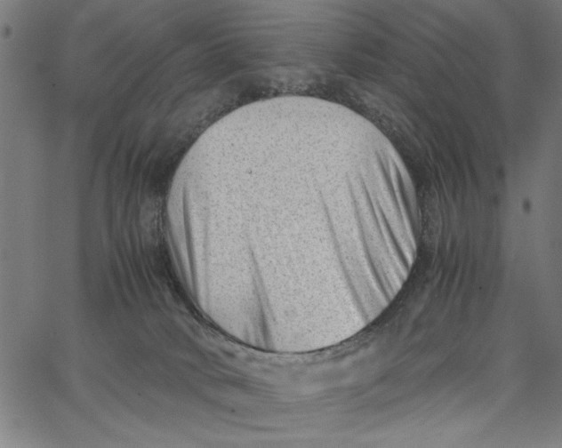 X0000065250034200603031814