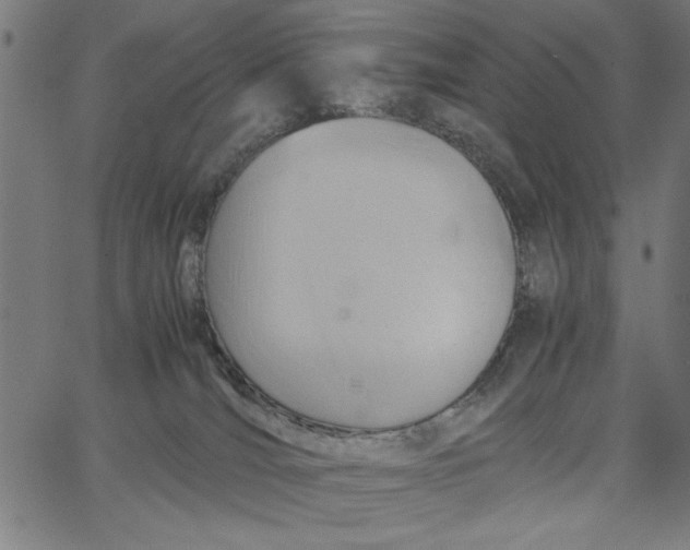 X0000065250036200603031814