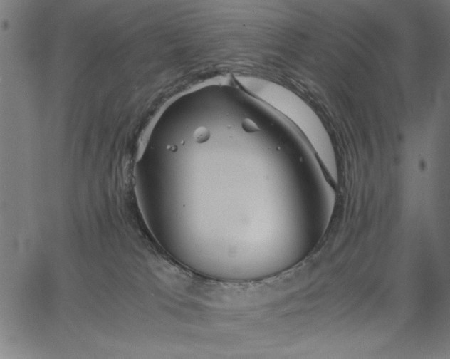 X0000065250037200603031814