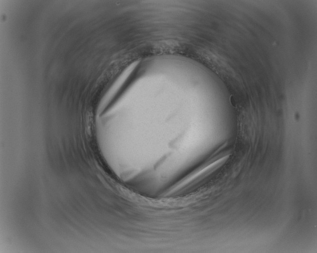 X0000065250038200603031814