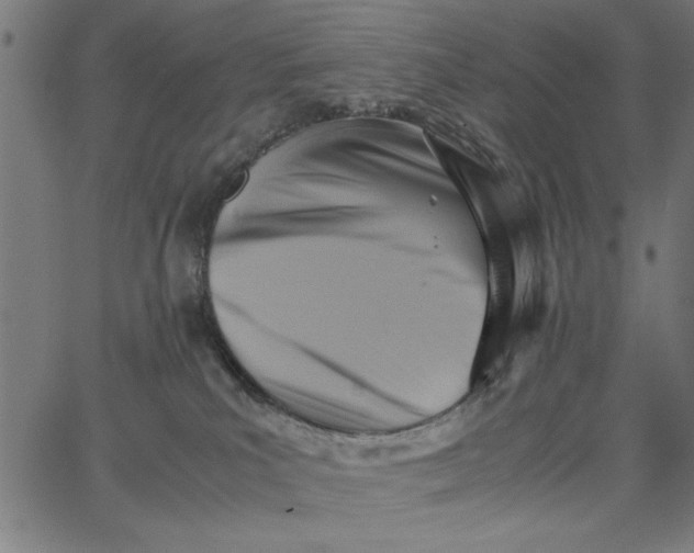 X0000065250039200603031814