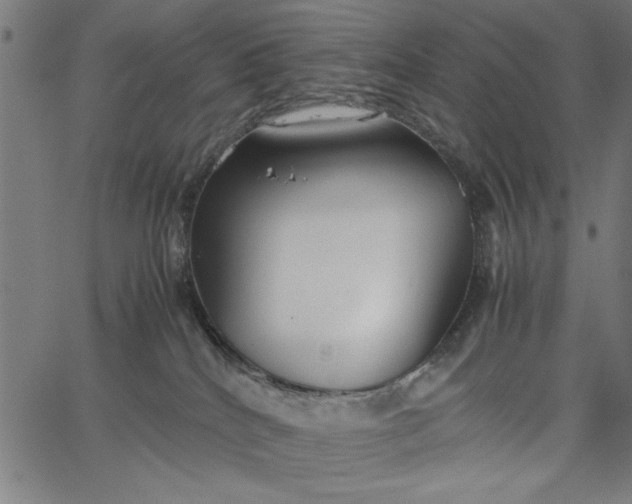 X0000065250040200603031814