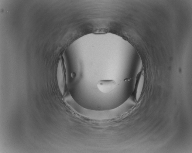 X0000065250041200603031814