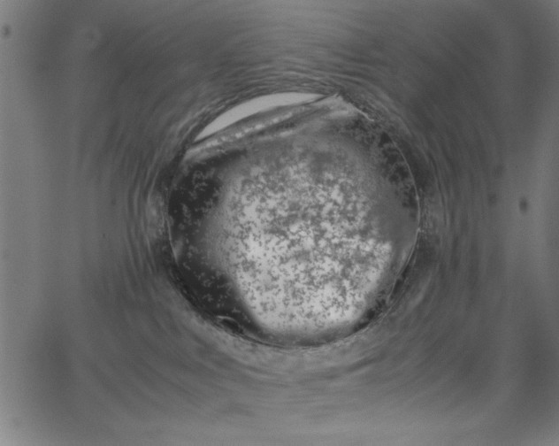 X0000065250043200603031814