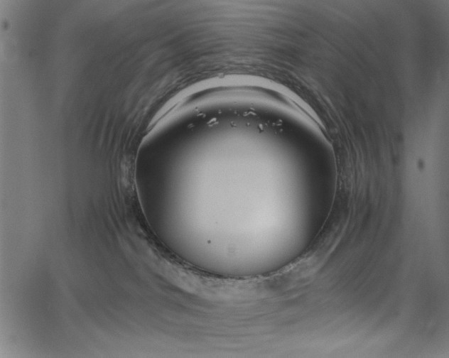 X0000065250044200603031814