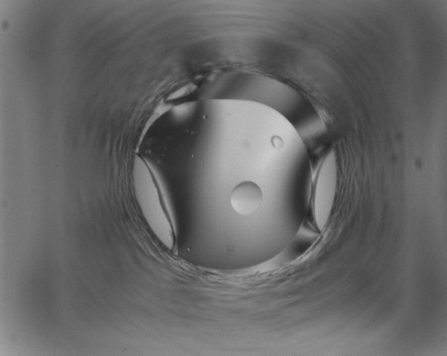 X0000065250045200603031814