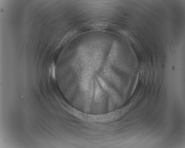 X0000065250046200603031814