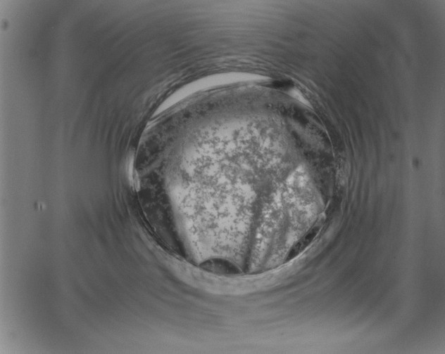 X0000065250047200603031814